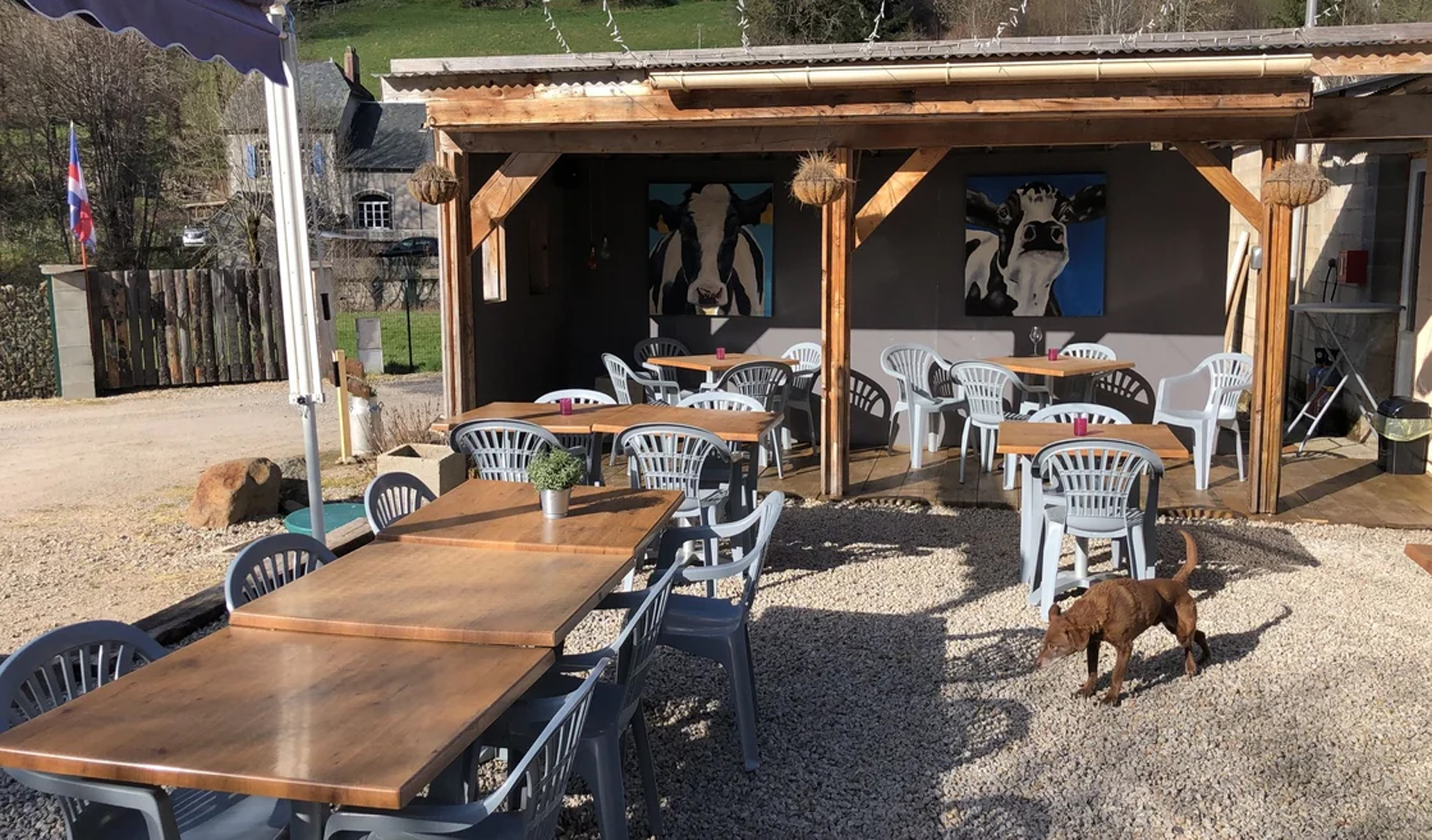 Bloesem en bloemknoppen (nieuwsbrief)